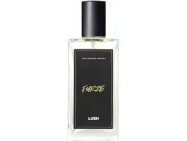 Furze 100 ml