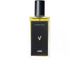 V 100 ml