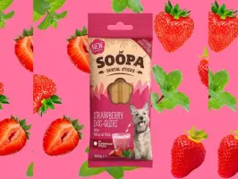 Štapići jagoda Dog-Quiri 100 g